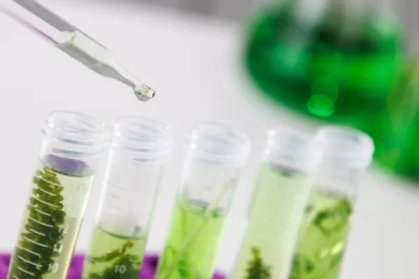 Financiación estatal para desarrollo de bioproductos