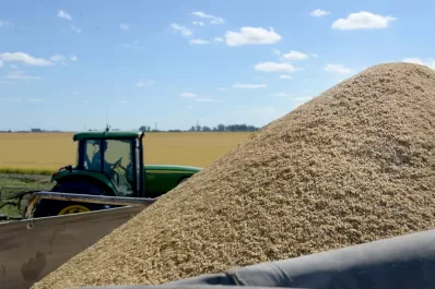 Campaña agrícola 2023: la inversión directa en capital de trabajo fue de U$S24.000 millones