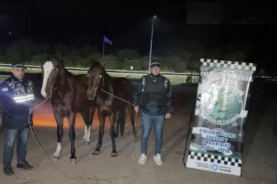 Trancas: caballos sueltos en la ruta, un riesgo para los conductores