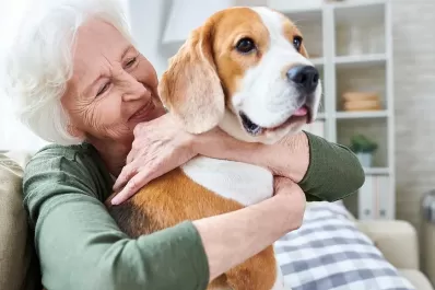 ¿Cuál es la mascota ideal para cada etapa de la vida según la Inteligencia Artificial?