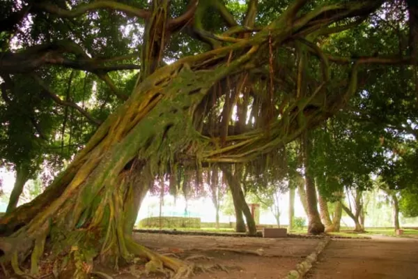 El Gobierno de Tucumán promulgó la ley que crea el parque de Santa Ana