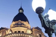 Dólar Agro: daña severamente a la actividad agroindustrial, según la Bolsa de Comercio de Rosario