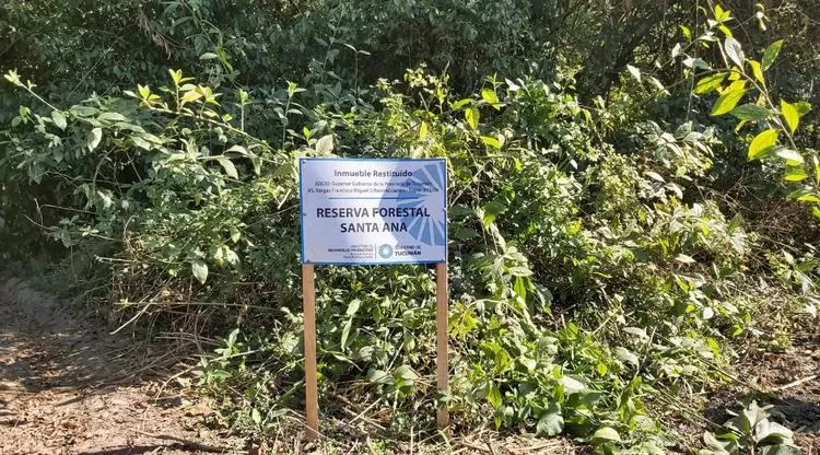 HASTA AHORA, PASO PROHIBIDO. Pronto podrá ser visitada.