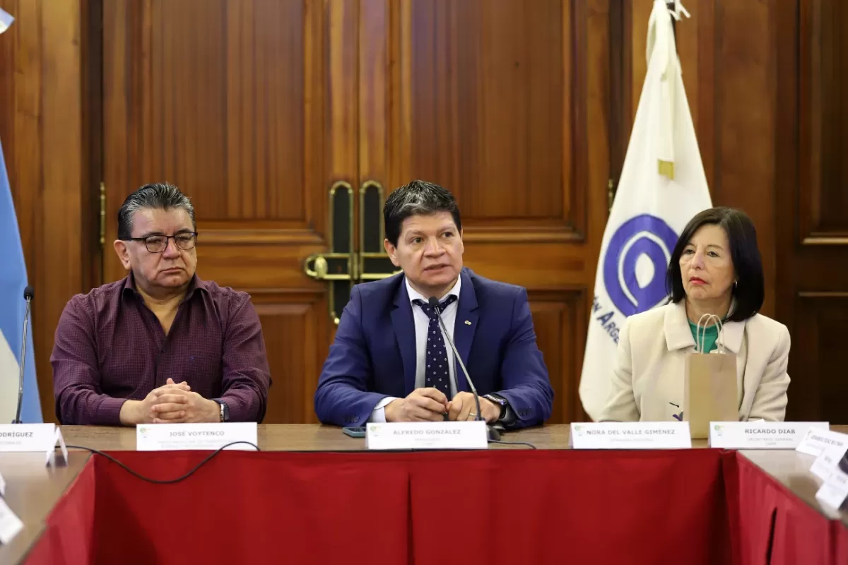 Presentación del proyecto en el Congreso nacional. FOTO CAME