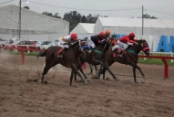 Turf: Domingas logró su mejor éxito y va a “las luces”