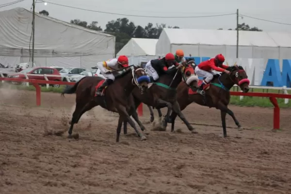 Turf: Domingas logró su mejor éxito y va a “las luces”