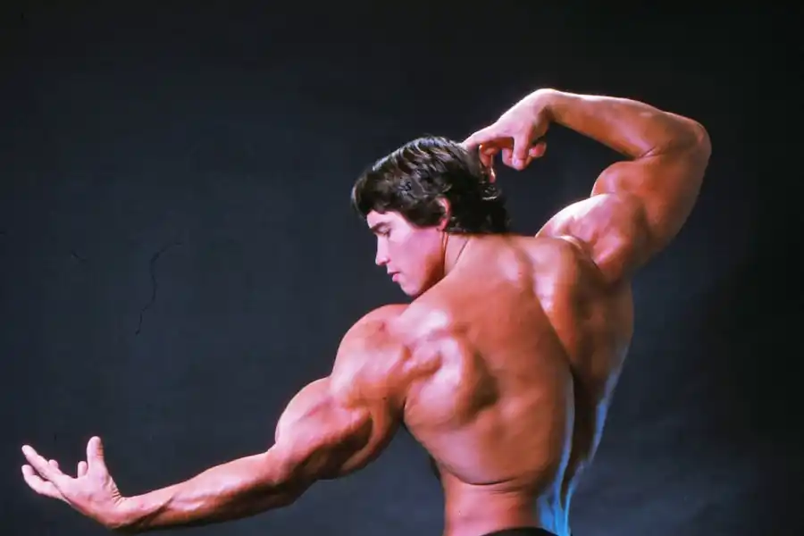 Arnold Schwarzenegger en su juventud