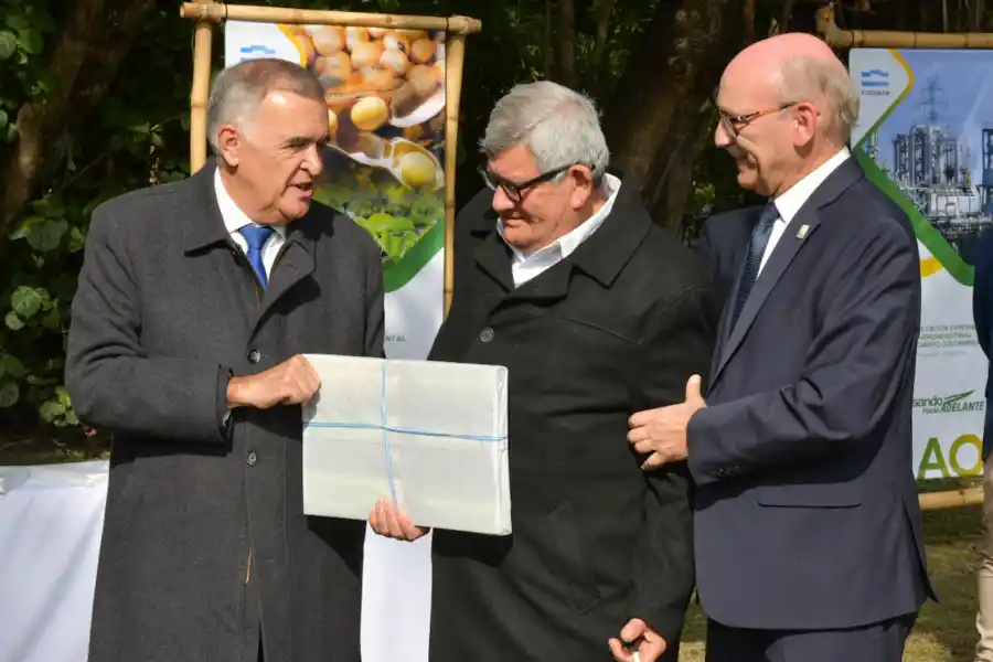 COMUNICACIÓN PÚBLICA