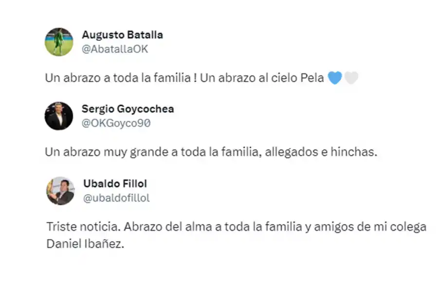 EN LAS REDES. Augusto Batalla, Sergio Goycochea y Ubaldo Fillol recordaron a Daniel Ibáñez.