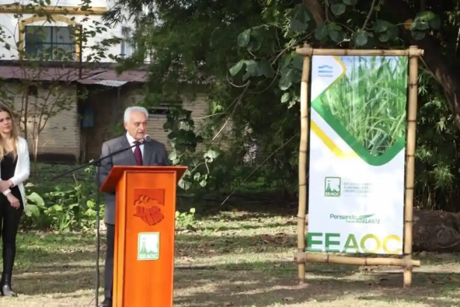 LA VOZ OFICIAL. Budeguer, presidente de la Eeaoc, durante su discurso. 