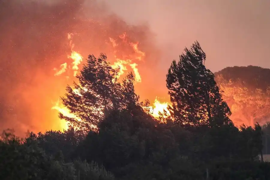 La ola de calor provocó incendios forestales en países de Europa y América del Norte