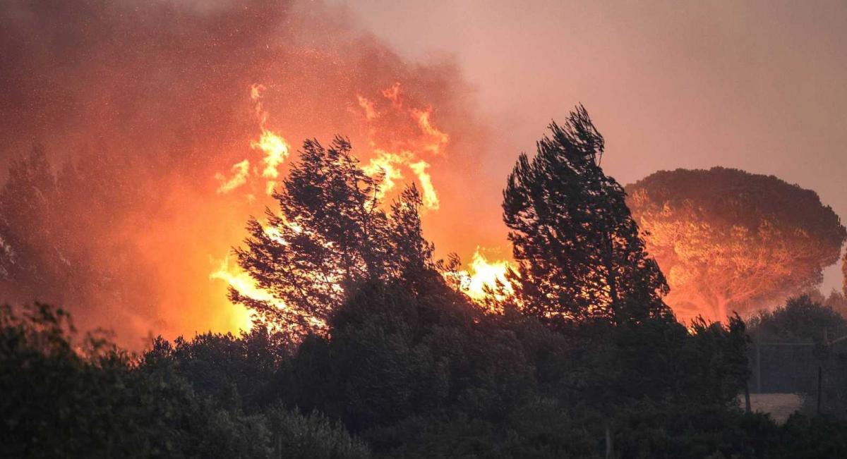 La ola de calor provocó incendios forestales en países de Europa y América del Norte