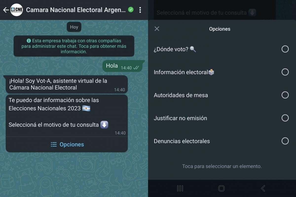Vot-A: Cómo acceder al chat de WhatsApp que responde dudas sobre las elecciones