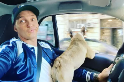 Cooper, el perro del empresario asesinado, tenía un microchip: ¿Qué importancia tiene en la investigación?