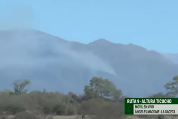 Incendio en Tapia: bomberos intentan controlar las llamas en el cerro