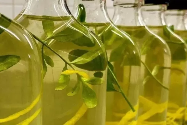 ¿Qué es la caña con ruda y por qué se toma cada 1° de agosto?