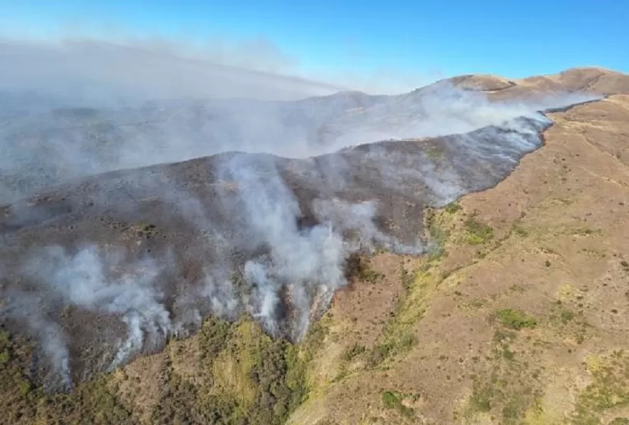 Brigadistas forestales combaten el fuego en el cerro Los Planchones