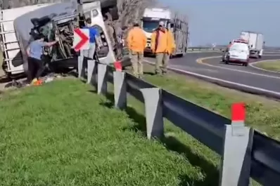 Volcó un camión que transportaba vacas y los vecinos las faenaron en plena ruta