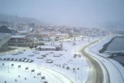 Ushuaia registró la mayor nevada del año