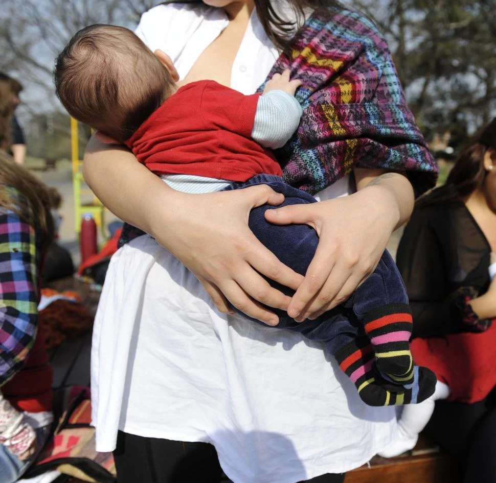 MÁS QUE UN ACTO DE AMOR. La leche materna protege la salud de los bebés y les da mayor inmunidad. la gaceta / foto de juan pablo sànchez noli (archivo)