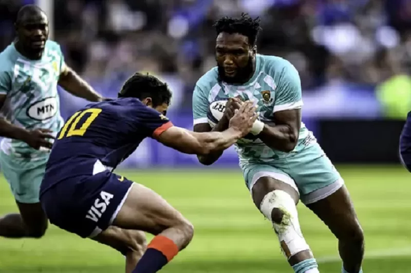 Los Pumas cayeron ante Sudáfrica en la despedida antes del Mundial de Rugby