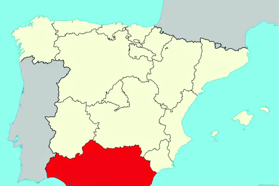 Cocina & colectividades: Cristina prepara una paella en homenaje a la inmigración española en Tucumán