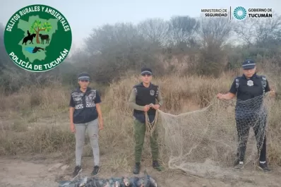 Operativo por pesca furtiva: recuperaron caballos robados