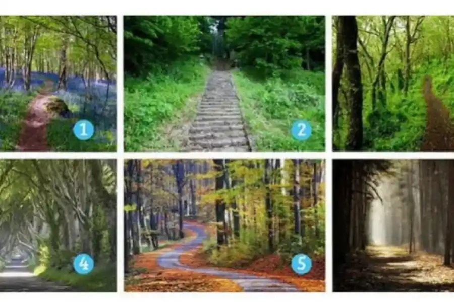 Un nuevo test de personalidad es furor en las redes sociales.