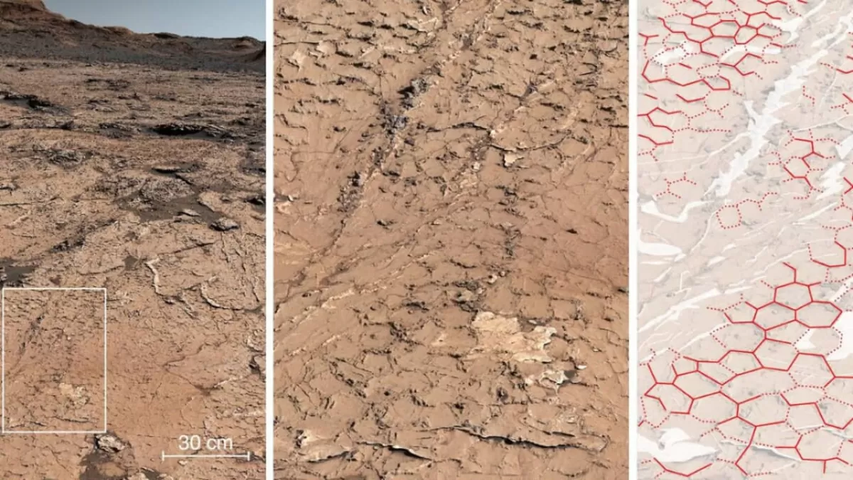 ¿Vida en Marte?: nuevas revelaciones del robot Curiosity confirmarían esta posibilidad.