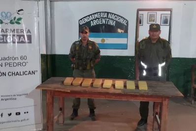 Secuestran más de 12 kilos de cocaína en dos procedimientos, en Salta