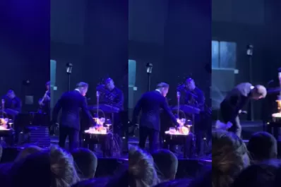 Luis Miguel sufrió un accidente en su show y tuvo que interrumpir una canción