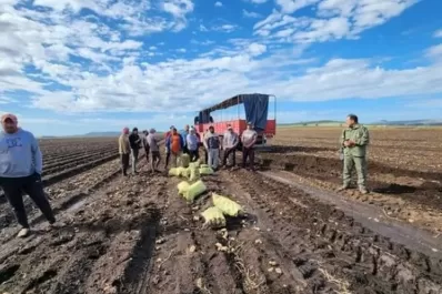 Trabajadores rurales lograron una suba de 26% retroactivo a julio y otra de 25% hasta octubre