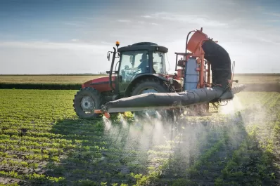 La oruga medidora presentó una sobrevivencia del 35% esta campaña