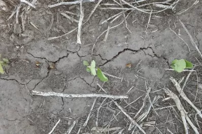 Nuestros suelos dan cuenta de un importante deterioro