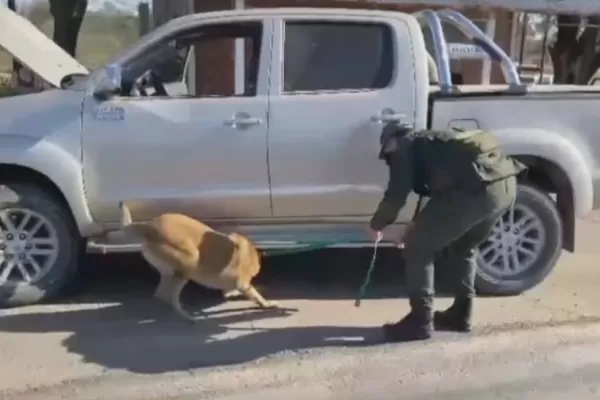 Llevaban 29 kilos de cocaína dentro del tanque de combustible de una camioneta