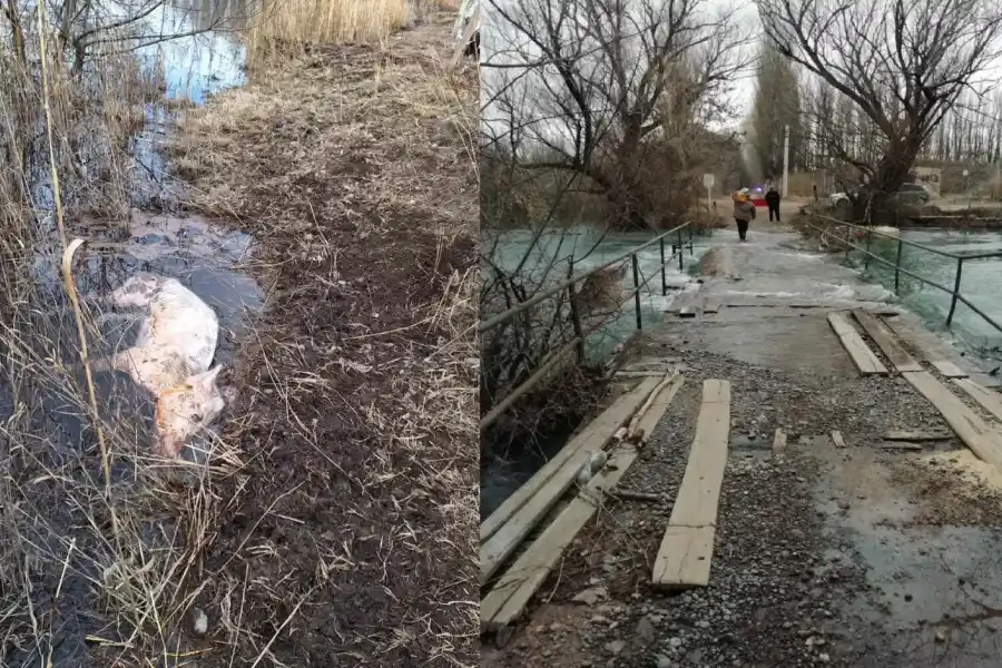 Neuquén: por las inundaciones, una isla quedó bajó el agua y sus vecino no saben cómo irán a votar