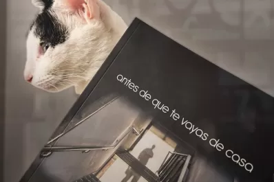 Pablo Natale y la elegancia de darle un sistema al caos