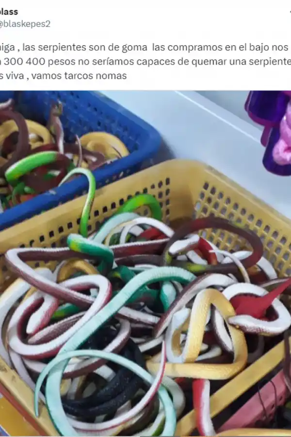 El polémico festejo de Tarcos ante Universitario: fuego, juguetes y ¿animales?