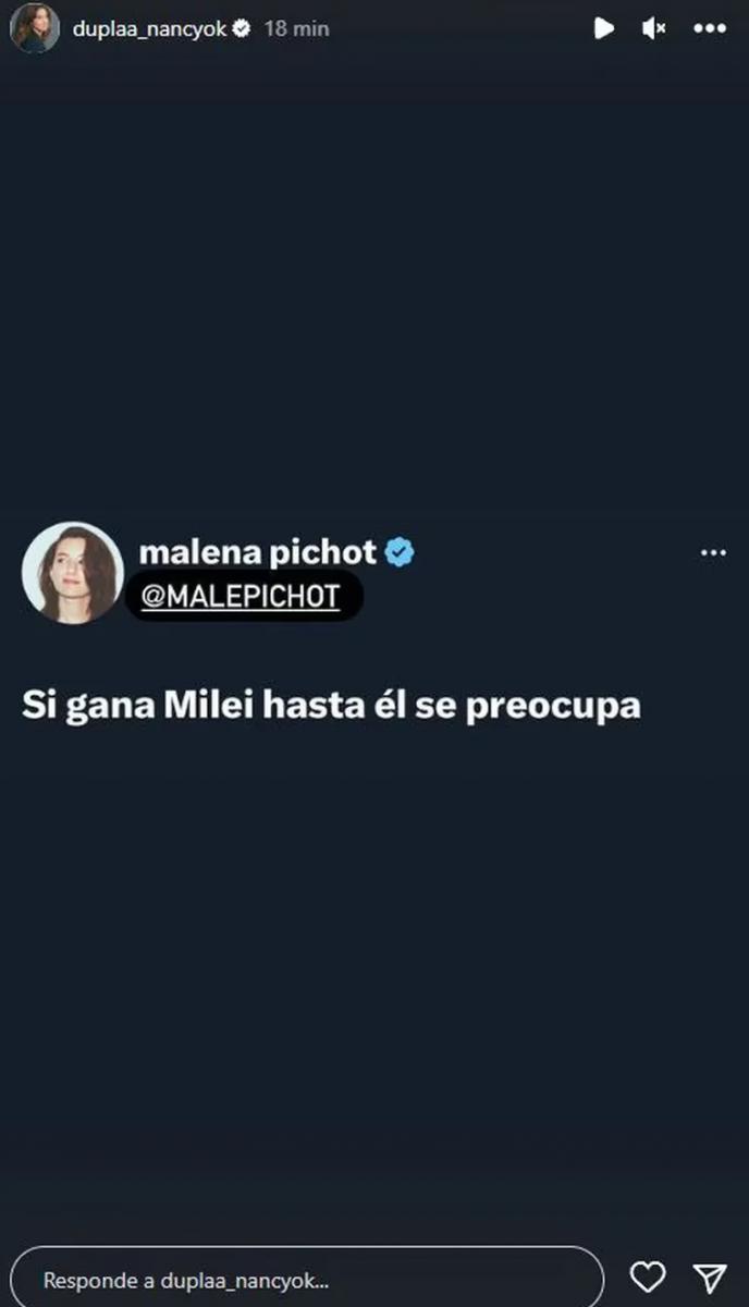 El posteo de Malena Pichot sobre el triunfo de Milei que Nancy Dulpaá reposteó