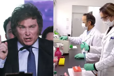 “¿Qué han generado los científicos?”, Javier Milei propuso privatizar el Conicet con duras críticas: la respuesta del organismo