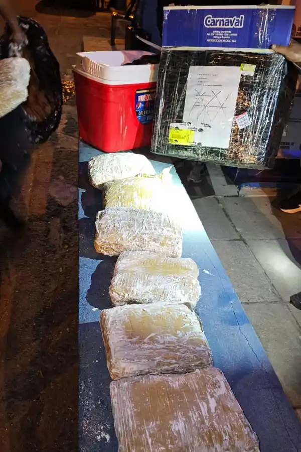 Un camión traía a Tucumán más de 25 kilos de marihuana en forma de encomiendas