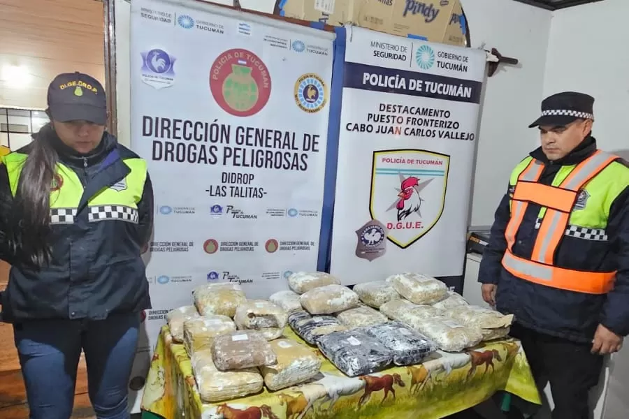 Un camión traía a Tucumán más de 25 kilos de marihuana en forma de encomiendas