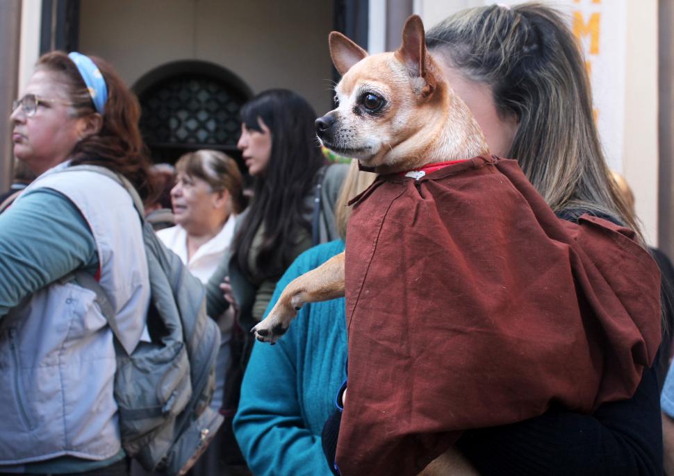 VESTIDO PARA LA OCASIÓN. No fue el único. Muchos perritos lucieron ayer la capa de San Roque para recibir las bendiciones.