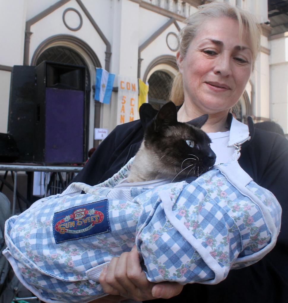 FELINOS TAMBIÉN. Muchos fieles llevaron sus gatitos para que sean bendecidos. No hay exclusividad para los perritos de parte del santo.