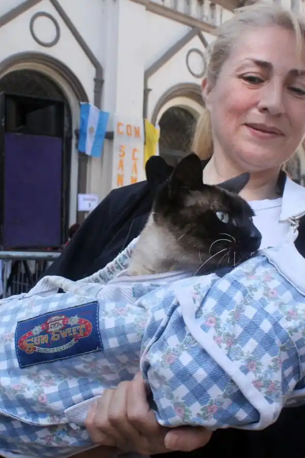 FELINOS TAMBIÉN. Muchos fieles llevaron sus gatitos para que sean bendecidos. No hay exclusividad para los perritos de parte del santo.