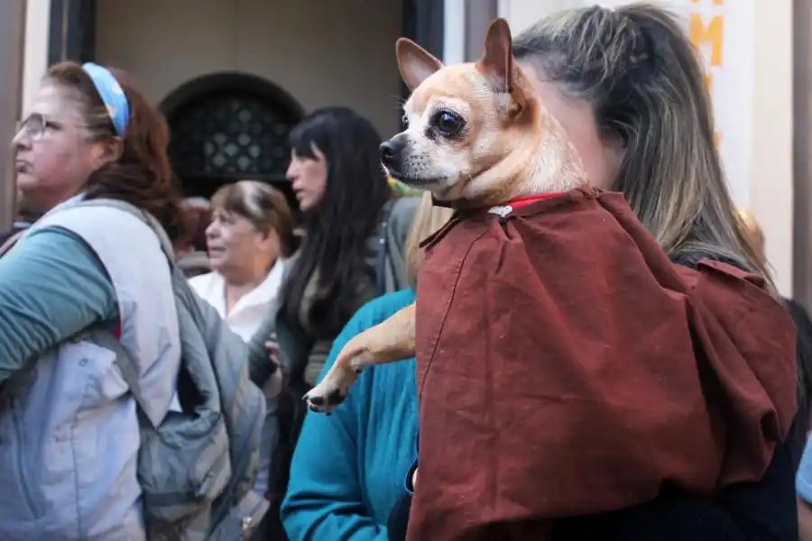 VESTIDO PARA LA OCASIÓN. No fue el único. Muchos perritos lucieron ayer la capa de San Roque para recibir las bendiciones.