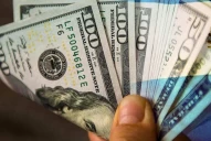 Economistas de EEUU criticaron el proyecto de dolarización de Javier Milei