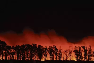 “Milei niega el cambio climático porque es un necio”, criticó la Casa Rosada