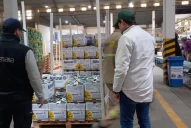 Tucumán: habilitan empaques de cítricos de exportación