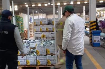 Tucumán: habilitan empaques de cítricos de exportación